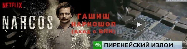 спиды Абаза