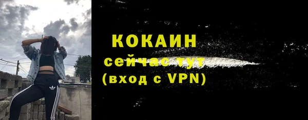 спиды Абаза