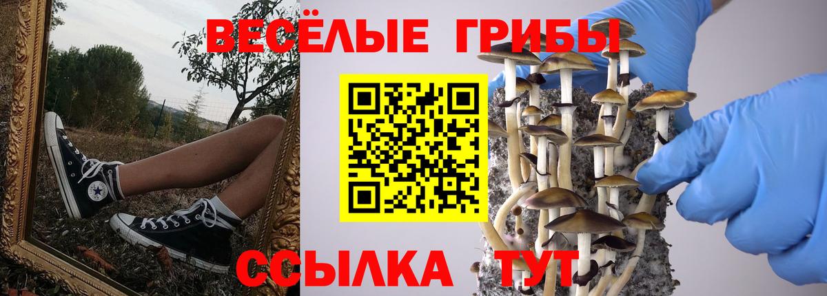 Галлюциногенные грибы прущие грибы Лабинск